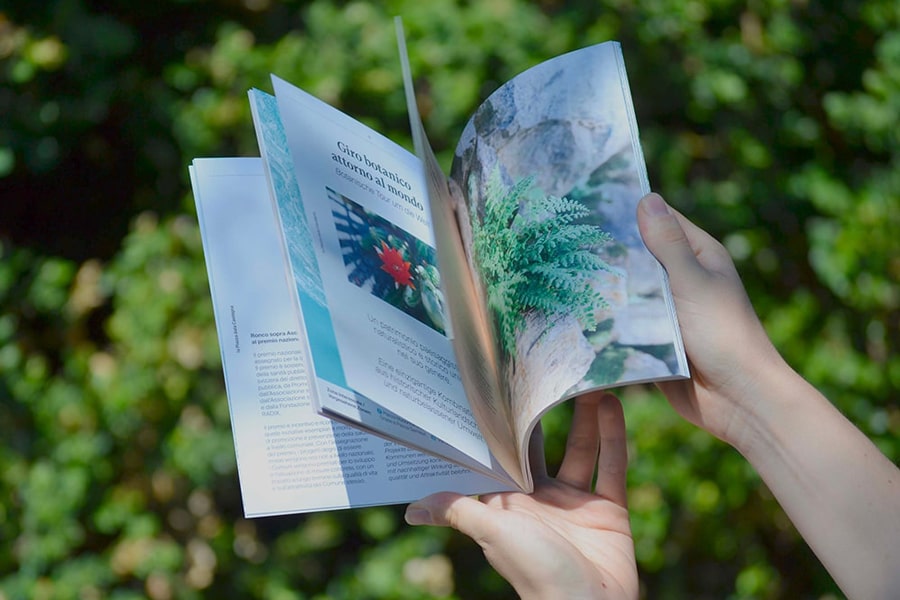 Rivista Piazza della Castegna Ronco Sopra Ascona